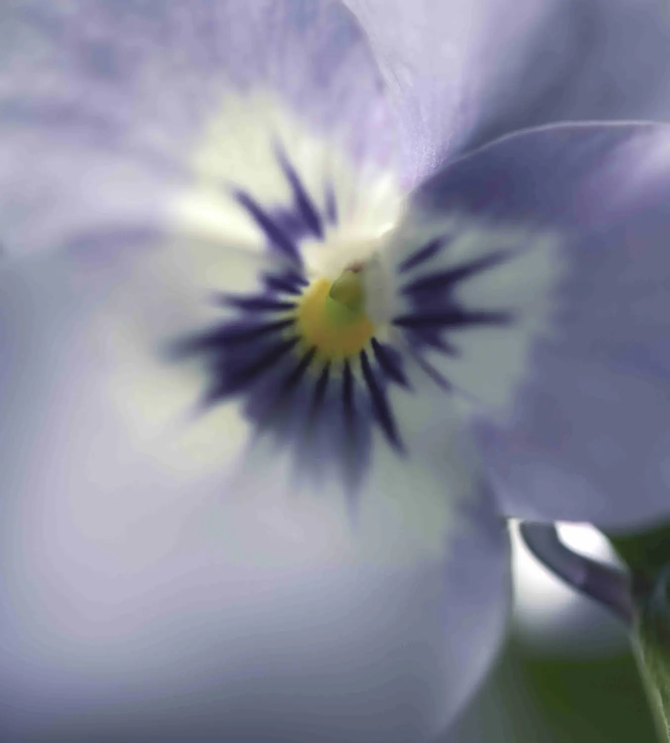 Löffler Blumen