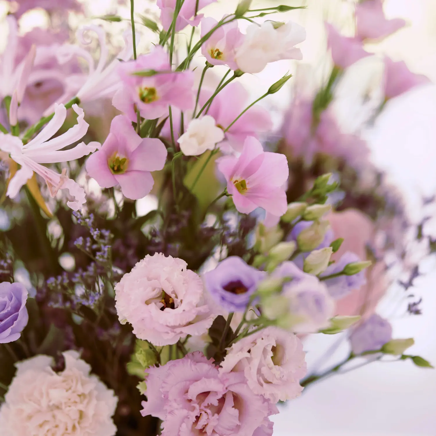 Löffler Blumen